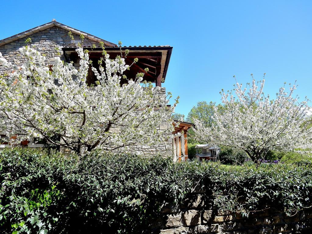 Holiday Home Casa Dei Farfui Momjan Exterior photo